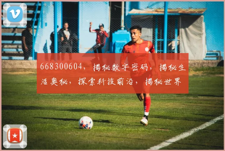 668300604，揭秘数字密码，揭秘生活奥秘，探索科技前沿，揭秘世界之谜