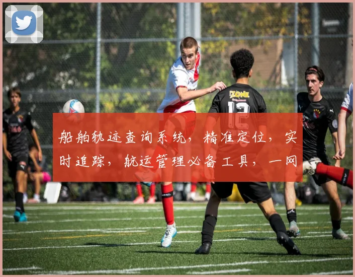 船舶轨迹查询系统，精准定位，实时追踪，航运管理必备工具，一网打尽。
