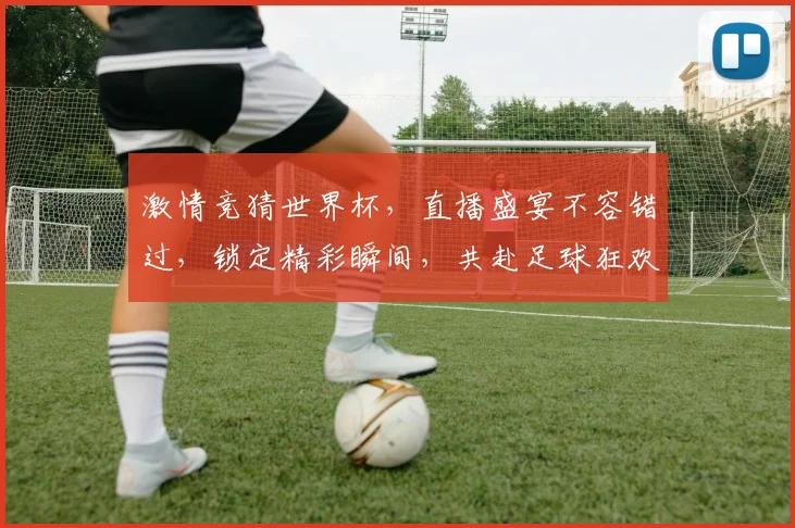 激情竞猜世界杯，直播盛宴不容错过，锁定精彩瞬间，共赴足球狂欢之旅，一触即发