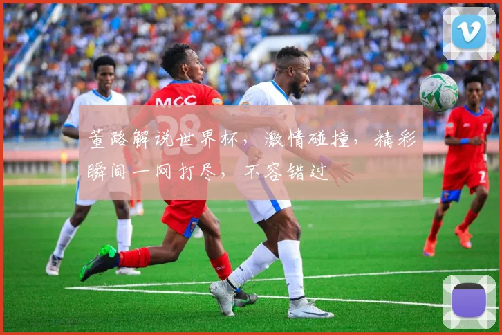 董路解说世界杯，激情碰撞，精彩瞬间一网打尽，不容错过