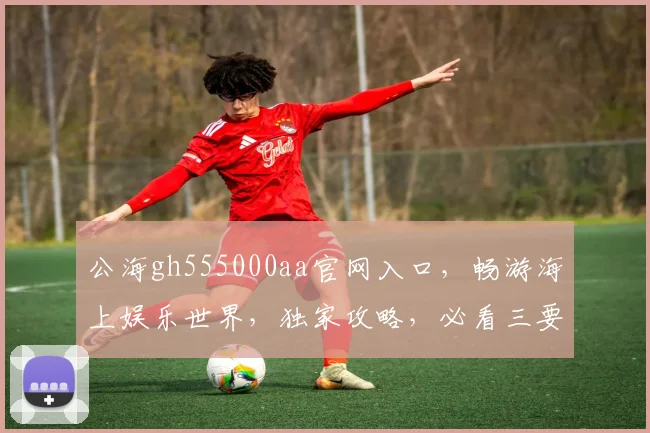 公海gh555000aa官网入口，畅游海上娱乐世界，独家攻略，必看三要点，快速登录