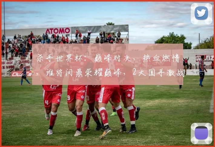 杀手世界杯：巅峰对决，热血燃情，谁将问鼎荣耀巅峰，2大国手激战正酣