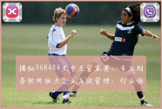揭秘968484王中王管家婆，专业财务软件助力企业高效管理，行业领先，值得信赖